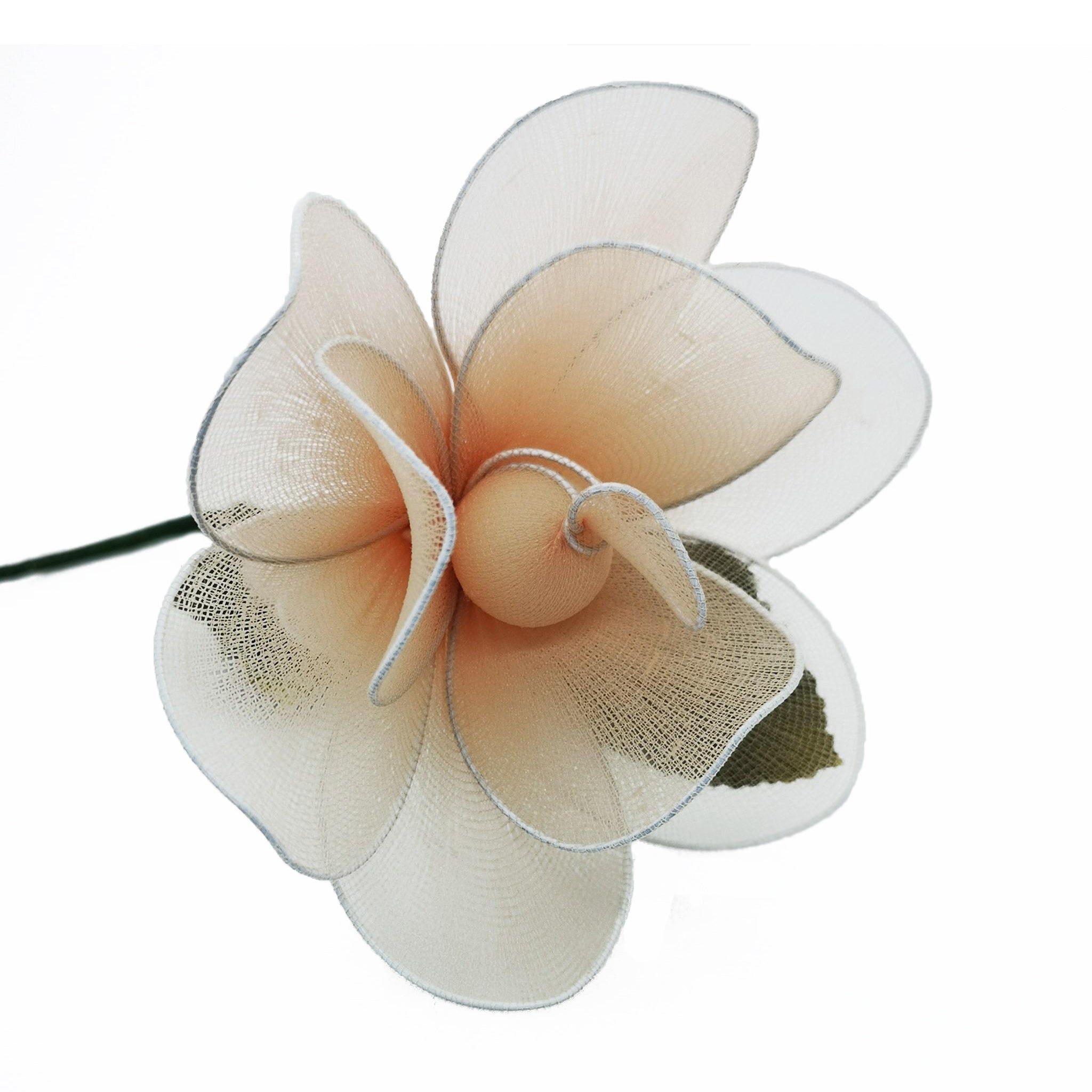 Camelia color salmone - immagine 2